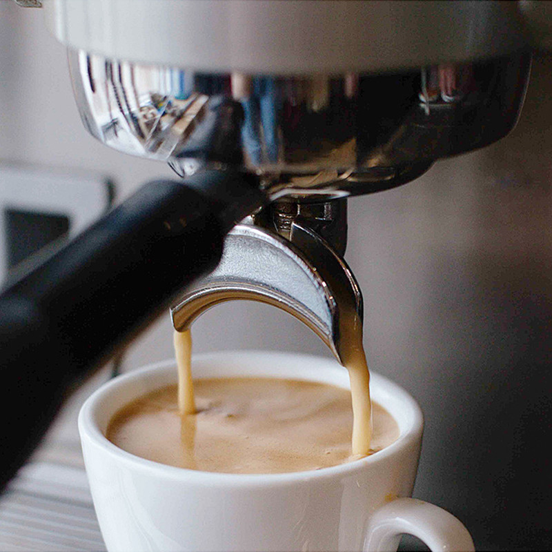 E61 Group head 58mm Filter Hol - Coffee Machine Expobar 评论和价格